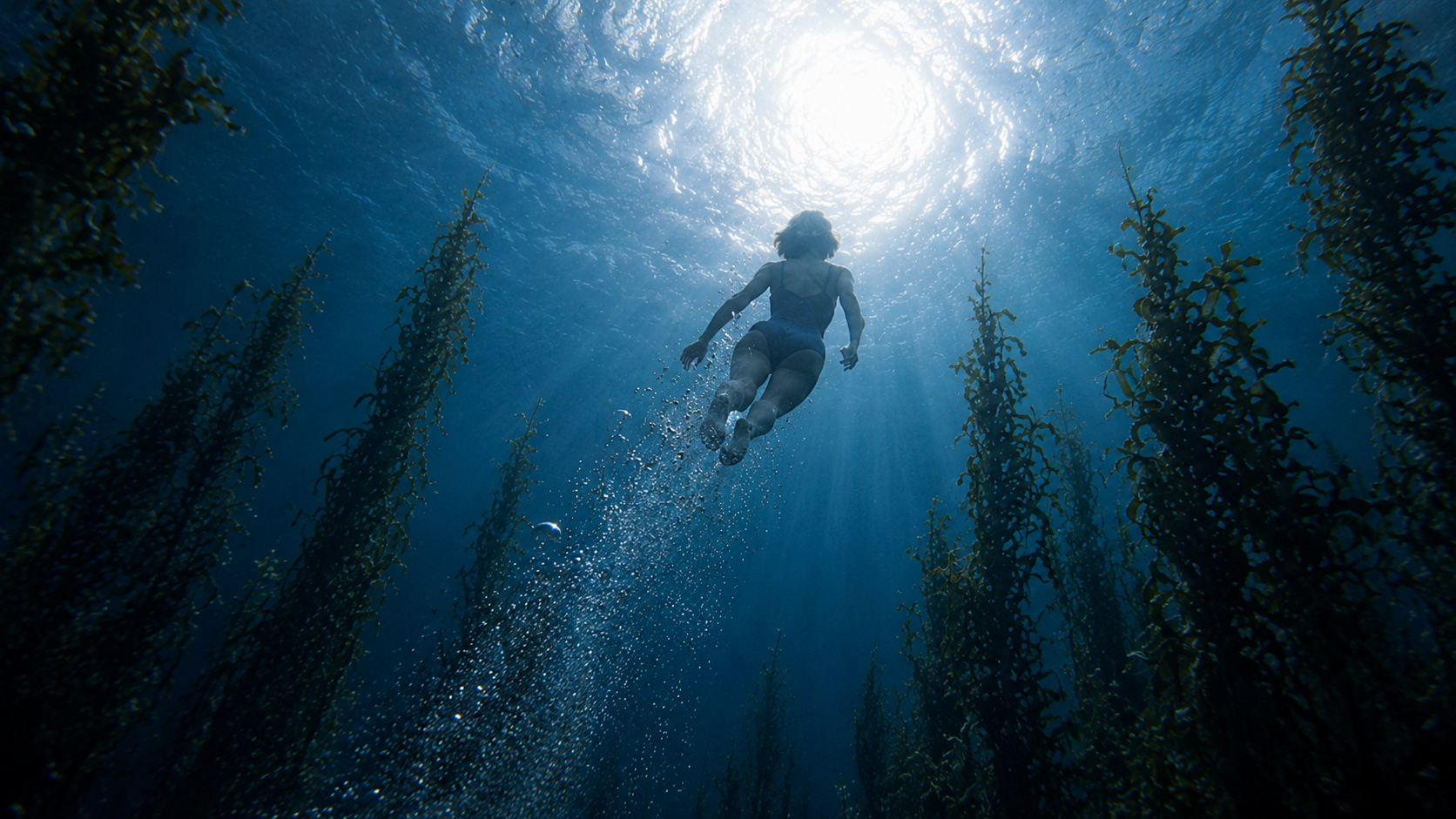 Swimmer in kelp forest
